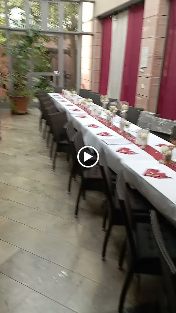 Dalmatia_Rodgau_slider_image_2