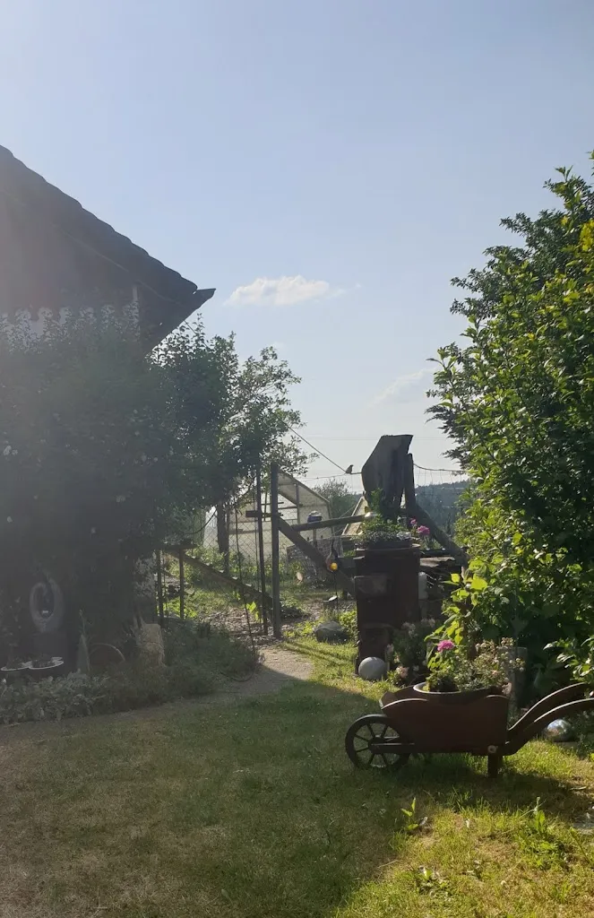 josefa montwill_Grüner Baum - F. Götz_Adelmannsfelden_review