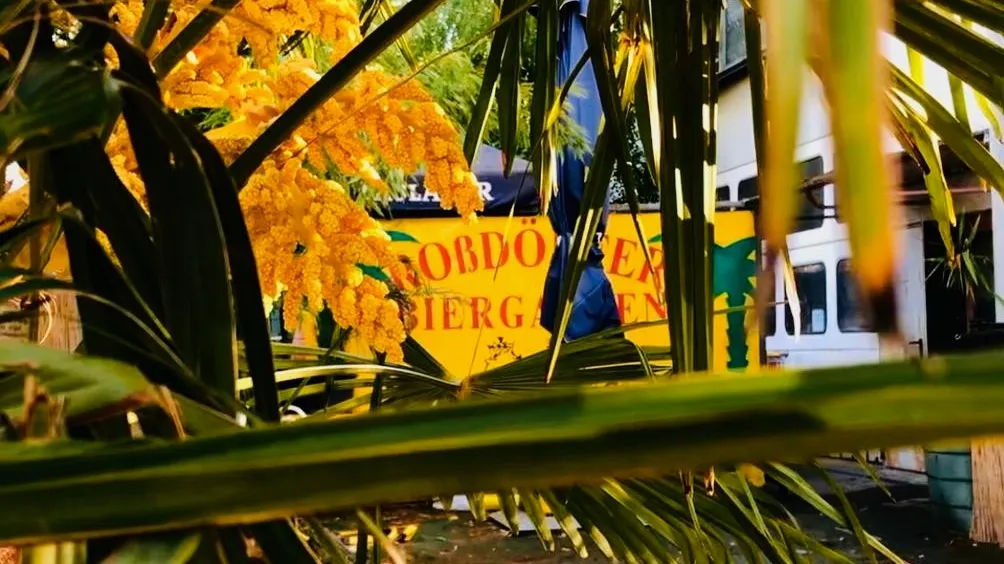 Roßdörfer Biergarten_Roßdorf_slider_image_3