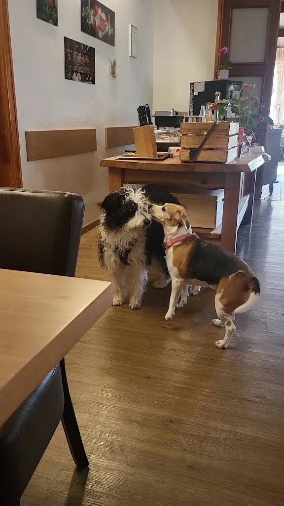 Landgasthof Porta_Schlitz_slider_image_2