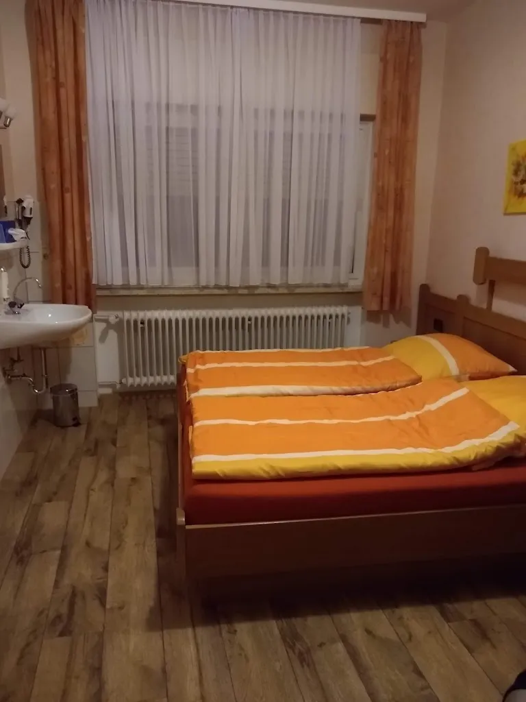 Min_Landgasthof Germania_Rhein_review