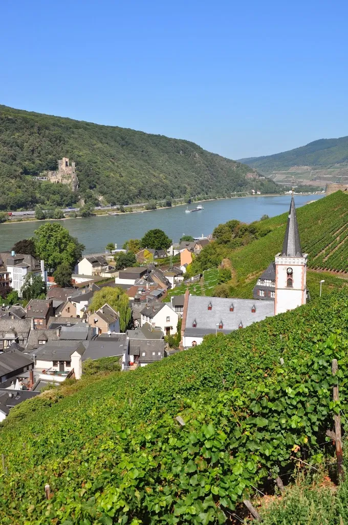 Gasthof Schuster ristorante a Rhein