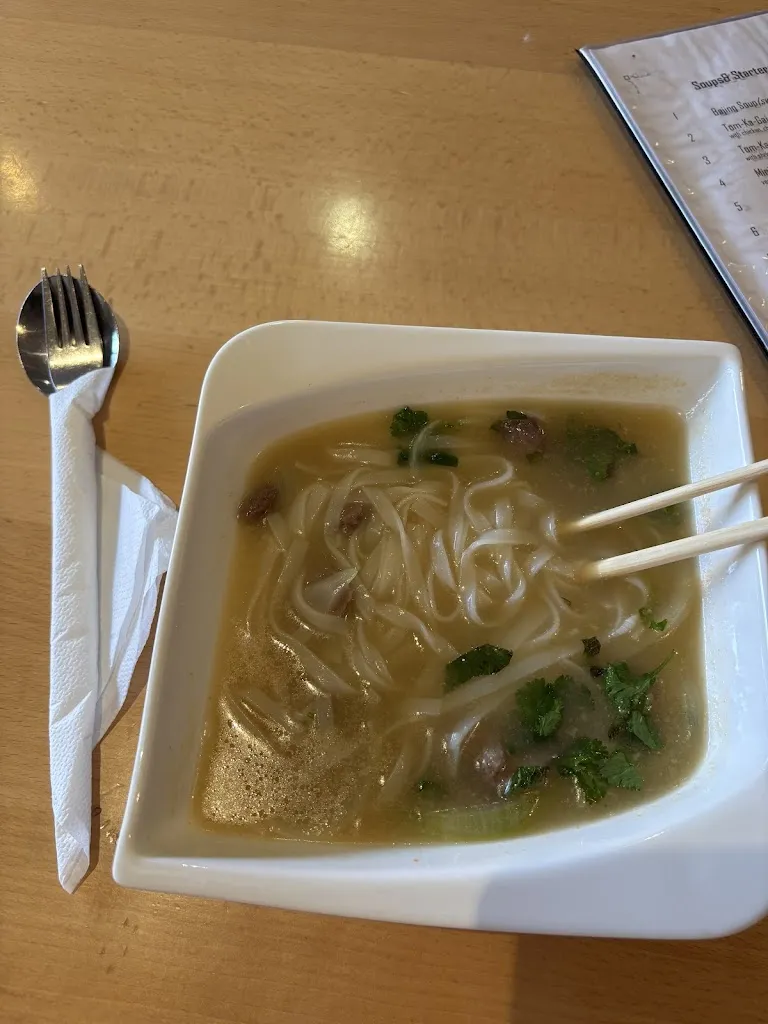 Yan Cui_Restaurant ASIA WOK_Rhein_review