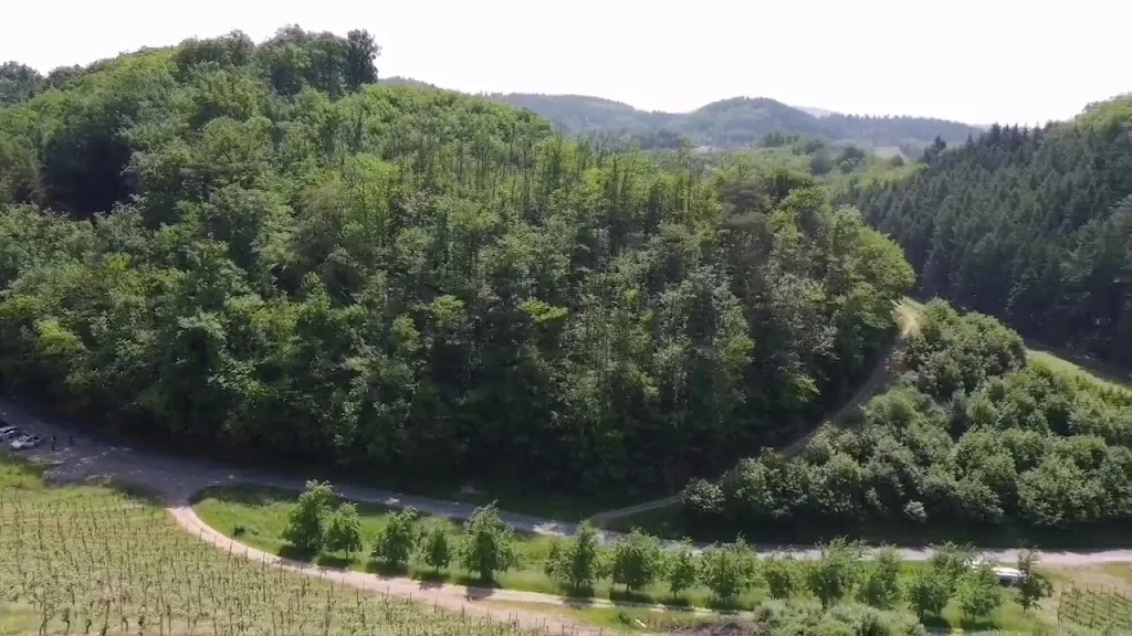 Schloss Staufenberg_Durbach_slider_image_2