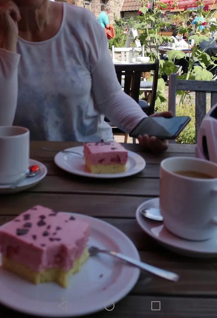 Menu_Mehlschwalbe_Trendelburg_immagine_2