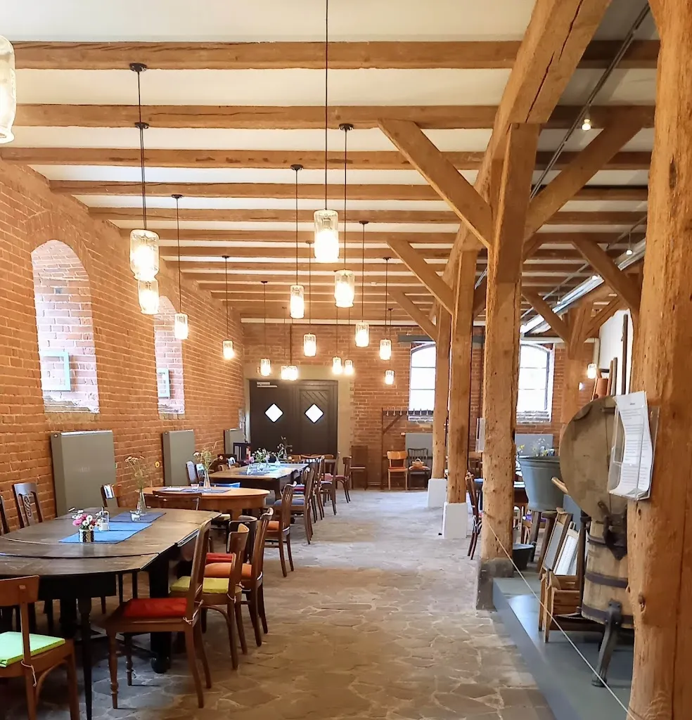 Mehlschwalbe_Trendelburg_slider_image_1