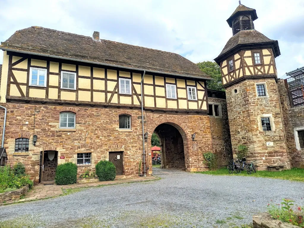 Mehlschwalbe_Trendelburg_slider_image_3