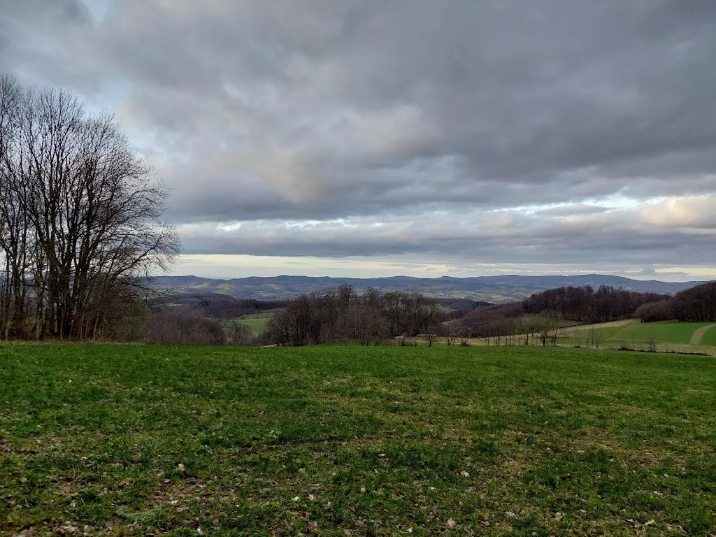 Zum Grünen Baum_Abtsteinach_slider_image_2