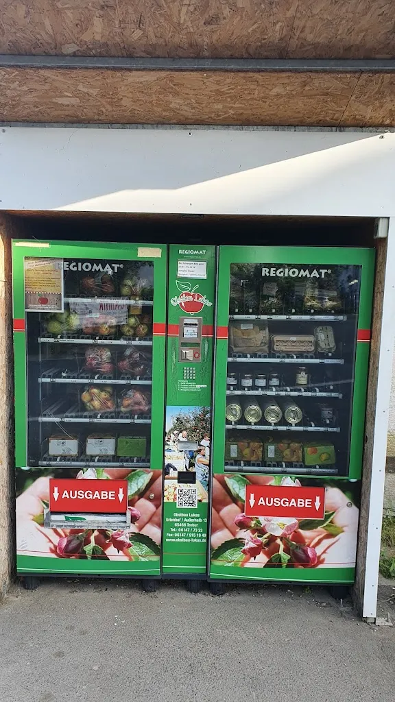 Menu_Zum Fährstübchen_Trebur_immagine_2