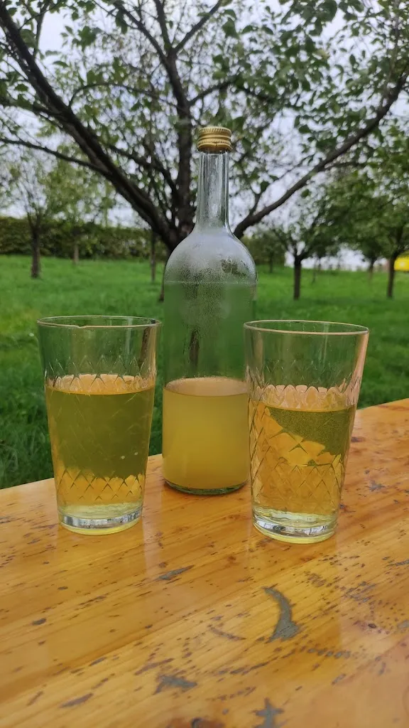 Obstbau Lukas_Trebur_slider_image_3