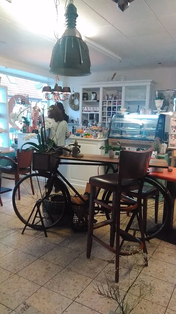 Jan Clierinck_Jami_Rümmingen_review