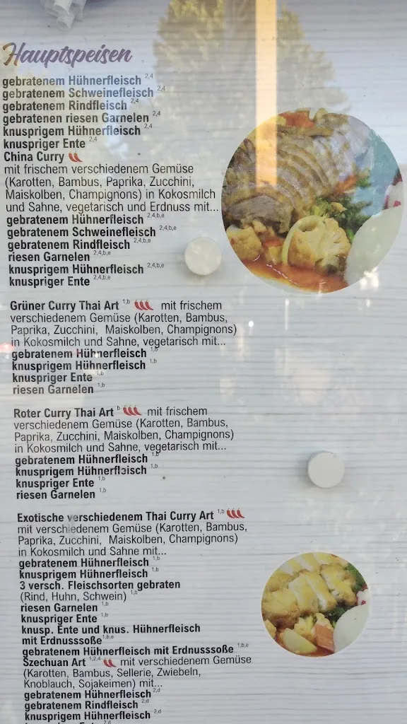 Menu_Asia Linh_Taunusstein_immagine_1