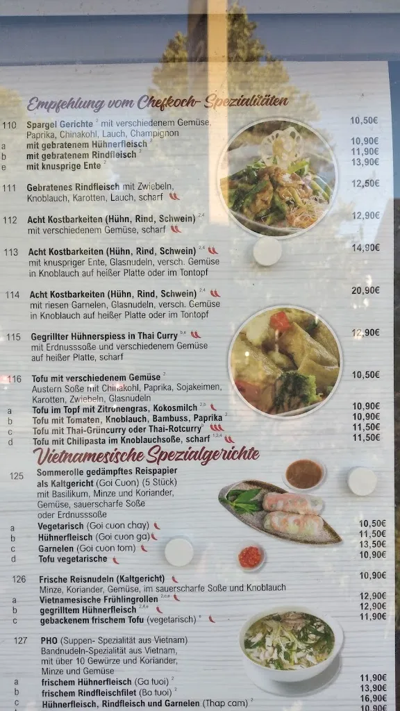 Menu_Asia Linh_Taunusstein_immagine_2