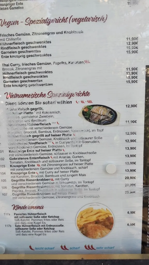 Menu_Asia Linh_Taunusstein_immagine_4