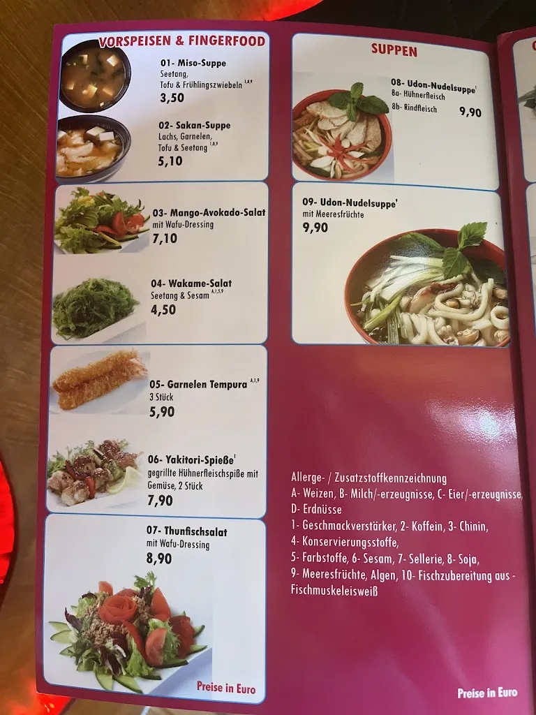 Menu_Asia Tokyo_Wald-Michelbach_immagine_1
