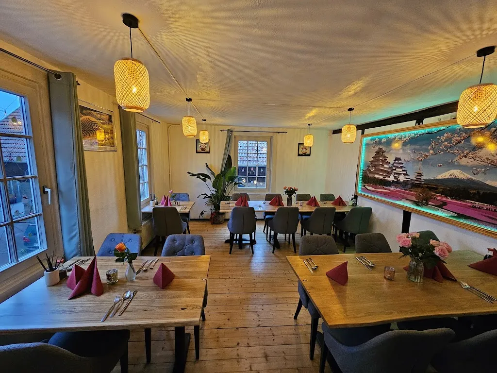 Asia Tokyo restaurant in Wald-Michelbach