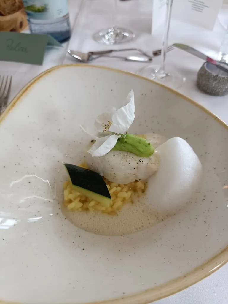 SelleMars92_Krone Schlier_Schlier_review