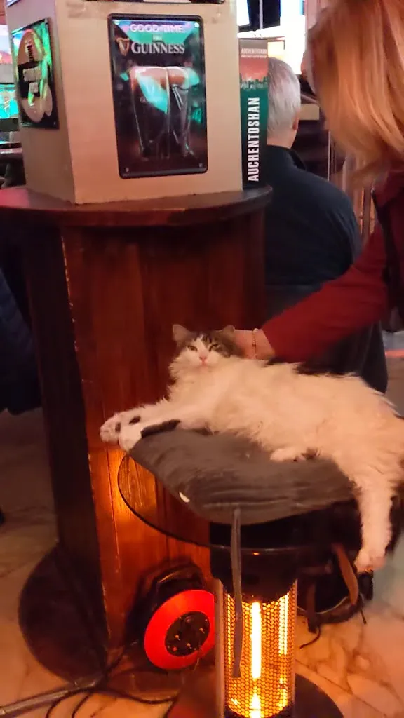 Scotch 'n’ Soda - Wiesbaden_Wiesbaden_slider_image_2