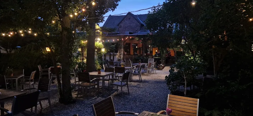 Silvi D._Kastanie Am Hax__review