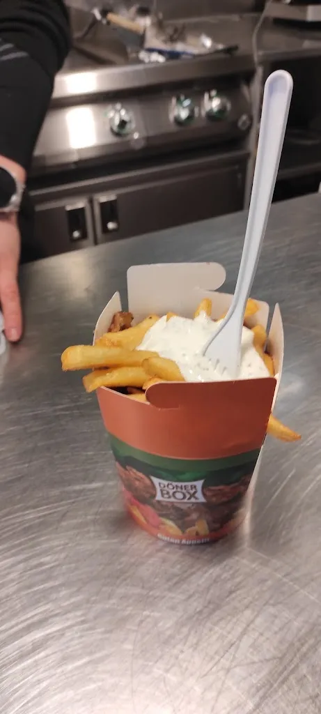 Levente Szilagyi_Moizeit_Austria_review