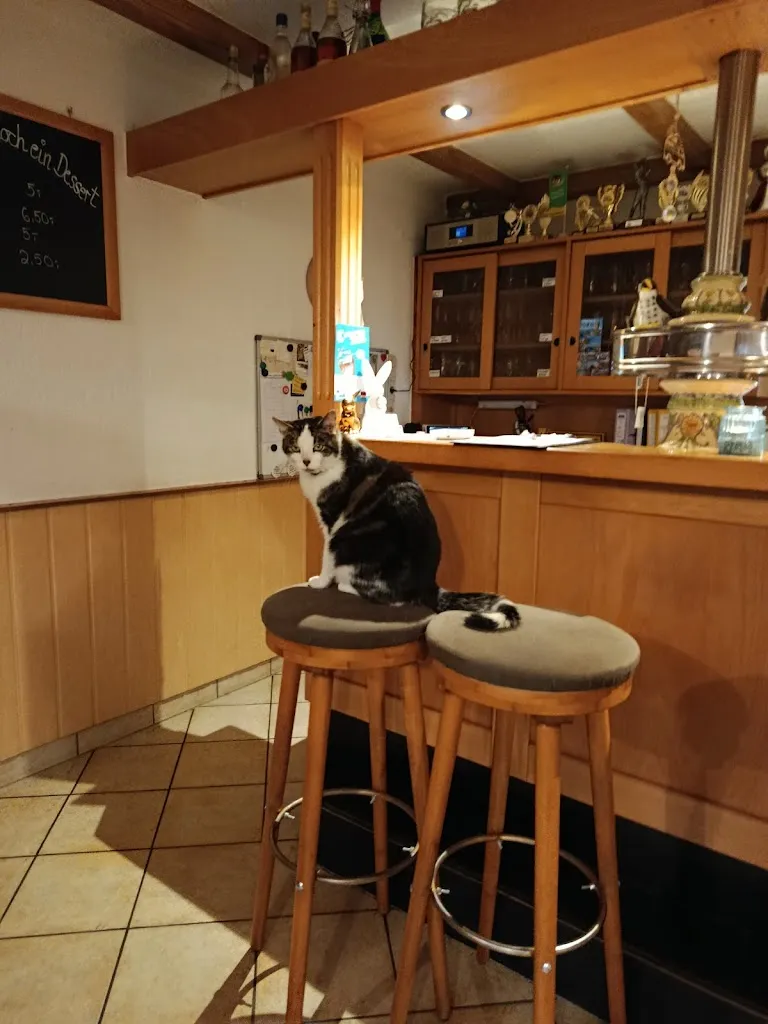 Michael Drews_Gasthaus und Campingplatz 