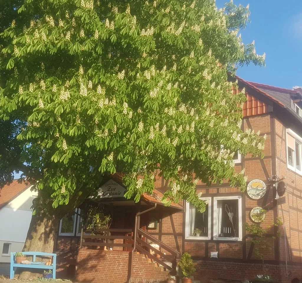 Zur Kastanie_Ilsede_slider_image_3