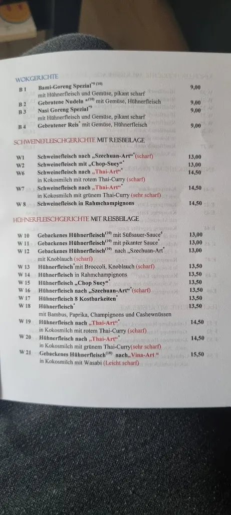 Menu_Vina Steakhouse & Wok_Peine_image_2