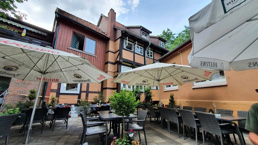 Dackels Krohne_Celle_slider_image_1