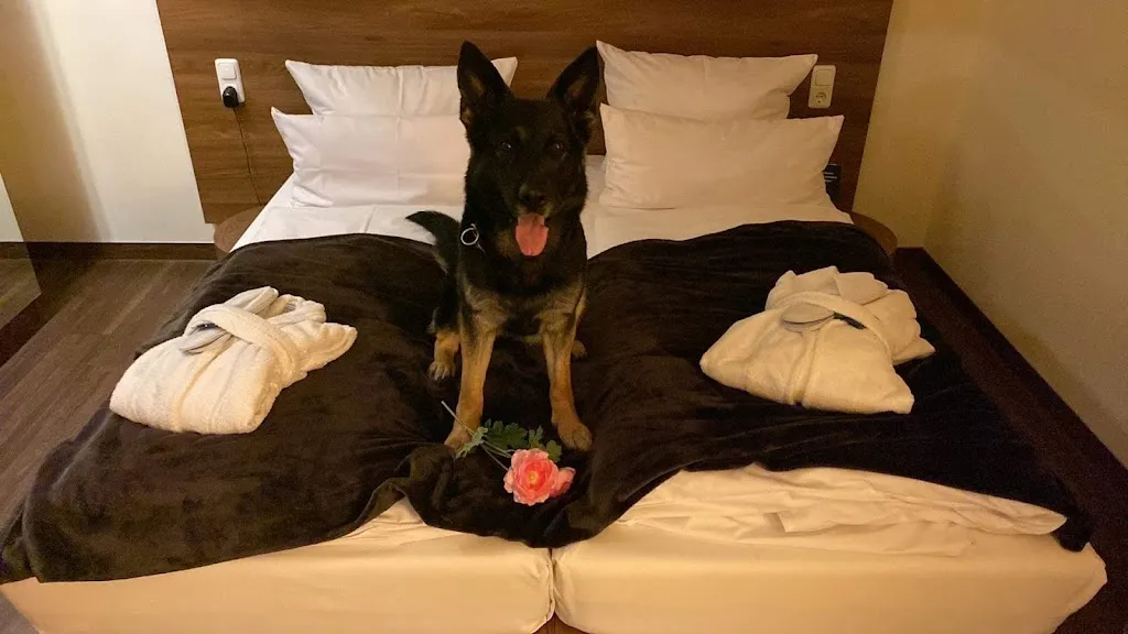 Ang Auger_Hotel-Restaurant Isenbütteler Hof_Isenbüttel_avis