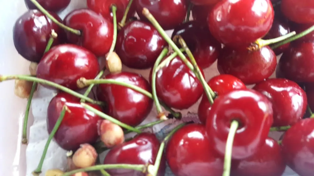 Menu_Ristorante Buona Sera Lüneburg_Lüneburg_immagine_7