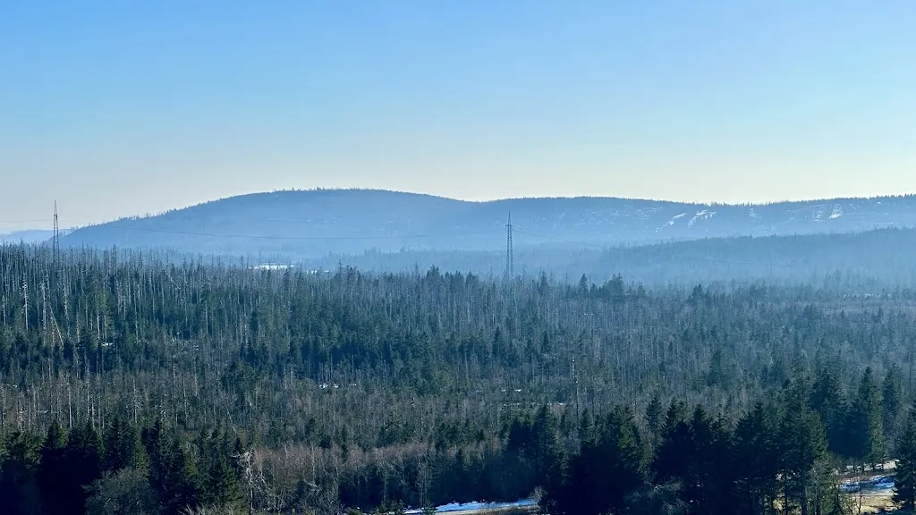 Pavel Bushev_Wienerwald Torfhaus_Altenau_review