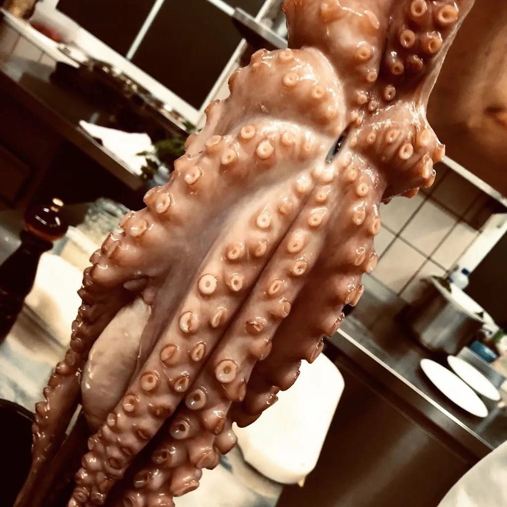 Menu_Ristorante & Pizzeria Da Toni (Bad Essen)_Essen_immagine_4