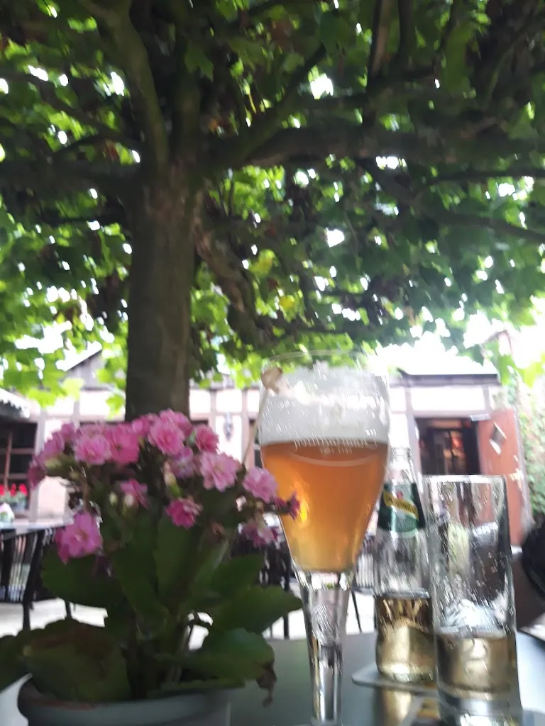 Menu_Café Gut Aarnink_Bentheim_immagine_9