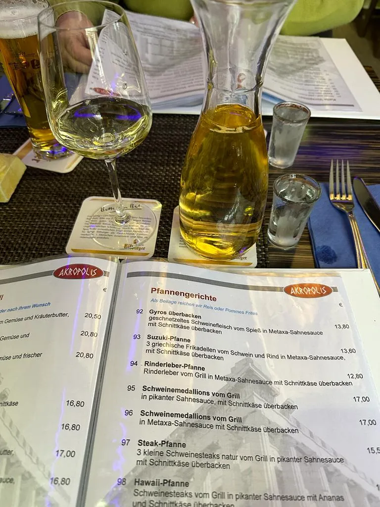 Menu_Akropolis Griechisches Restaurant_Fallingbostel_image_3