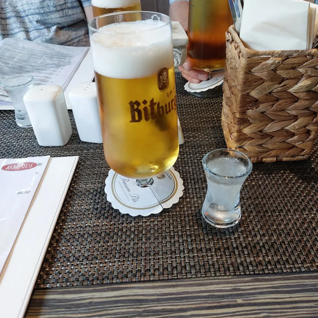 Menu_Akropolis Griechisches Restaurant_Fallingbostel_image_8