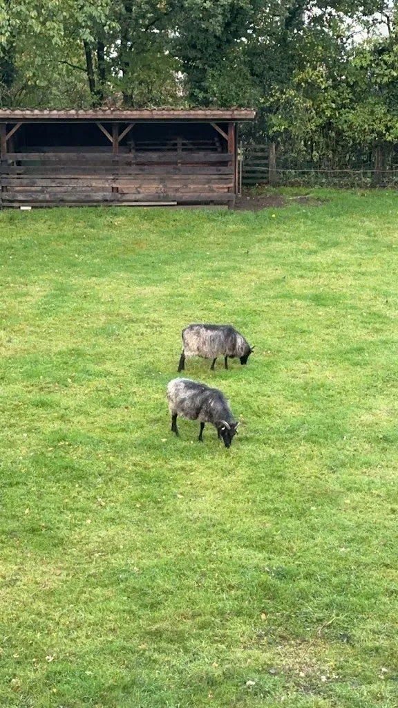 Ying Ma_Hotel Schnehagen_Fallingbostel_review