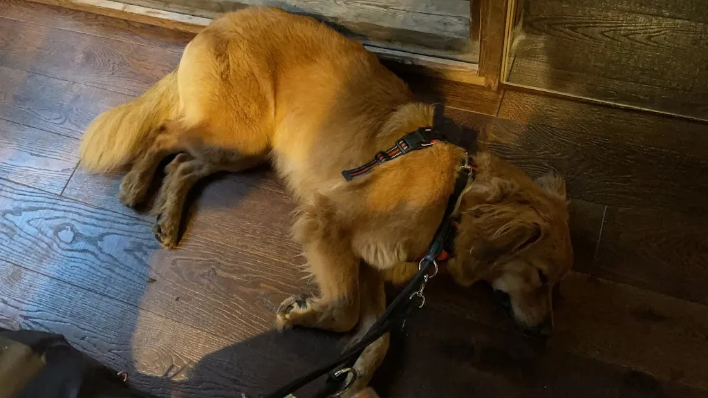 Mark Oliver Schuller_Restaurant Jägerhof_Uhldingen-Mühlhofen_recensione