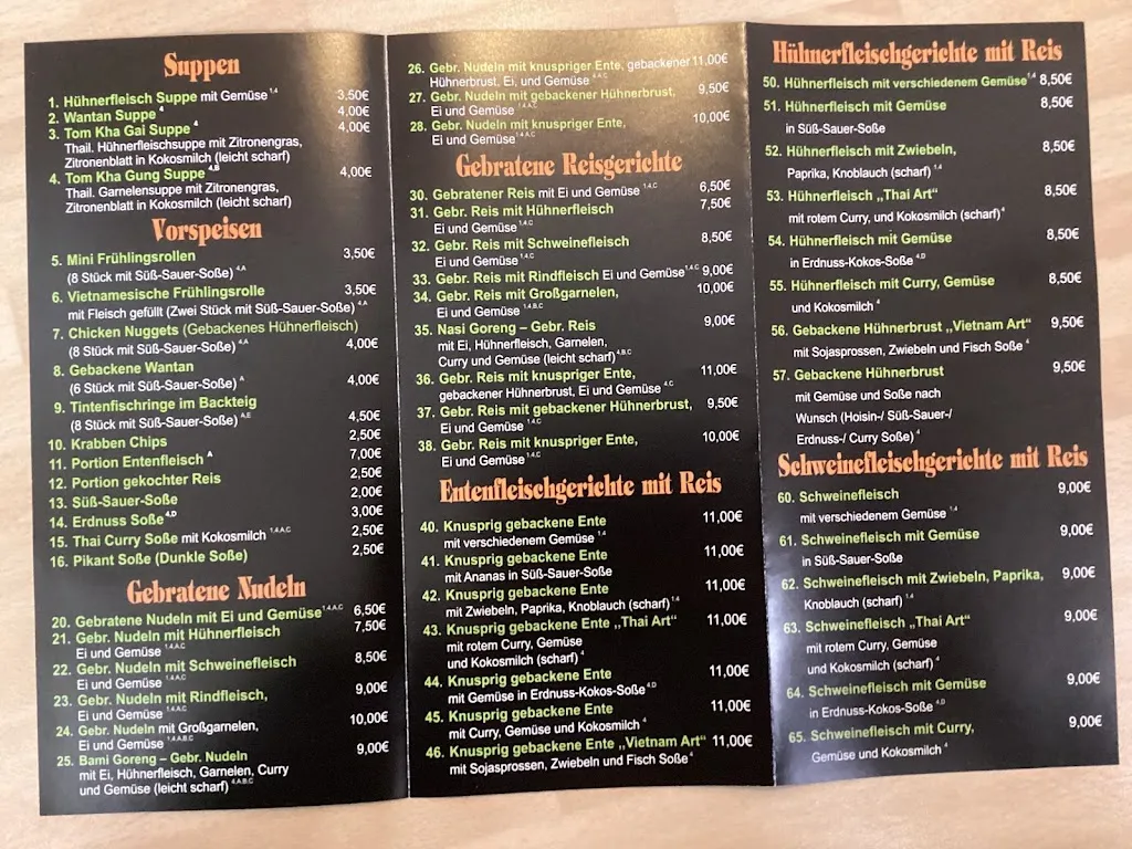 Menu_Asia Bistro Trinh Phat_Gandersheim_immagine_2