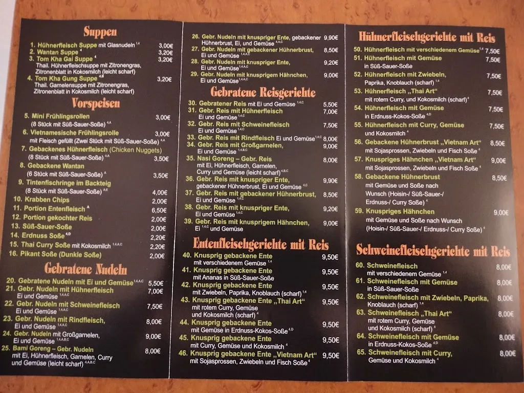 Menu_Asia Bistro Trinh Phat_Gandersheim_immagine_3