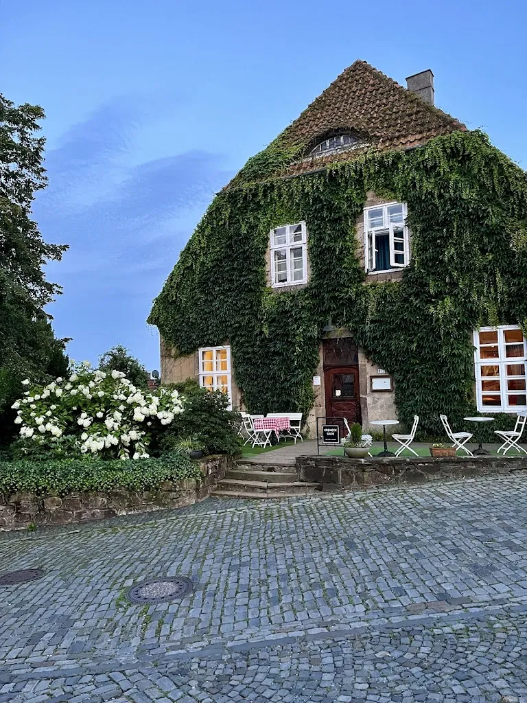 Sophia Tirhis_Kroneck-Salis_Iburg_review