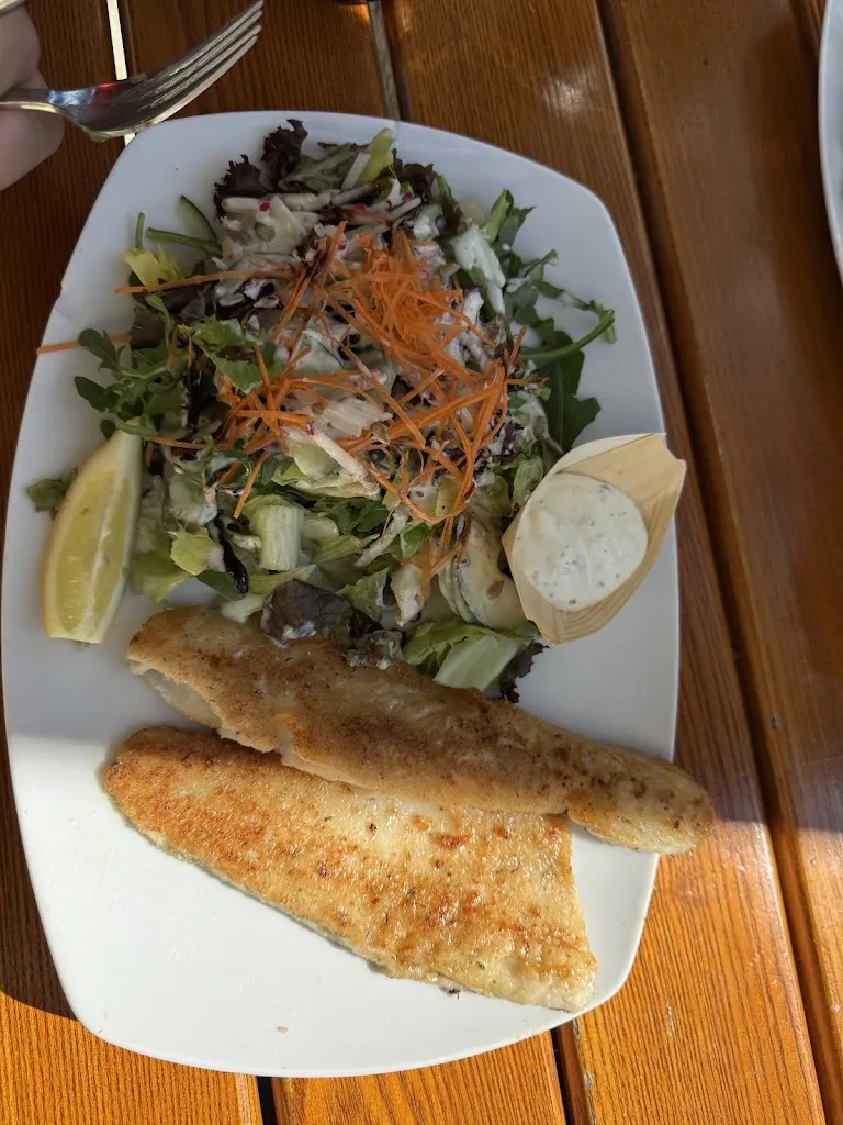 Dim N_Bei Riebels_Reichenau_review