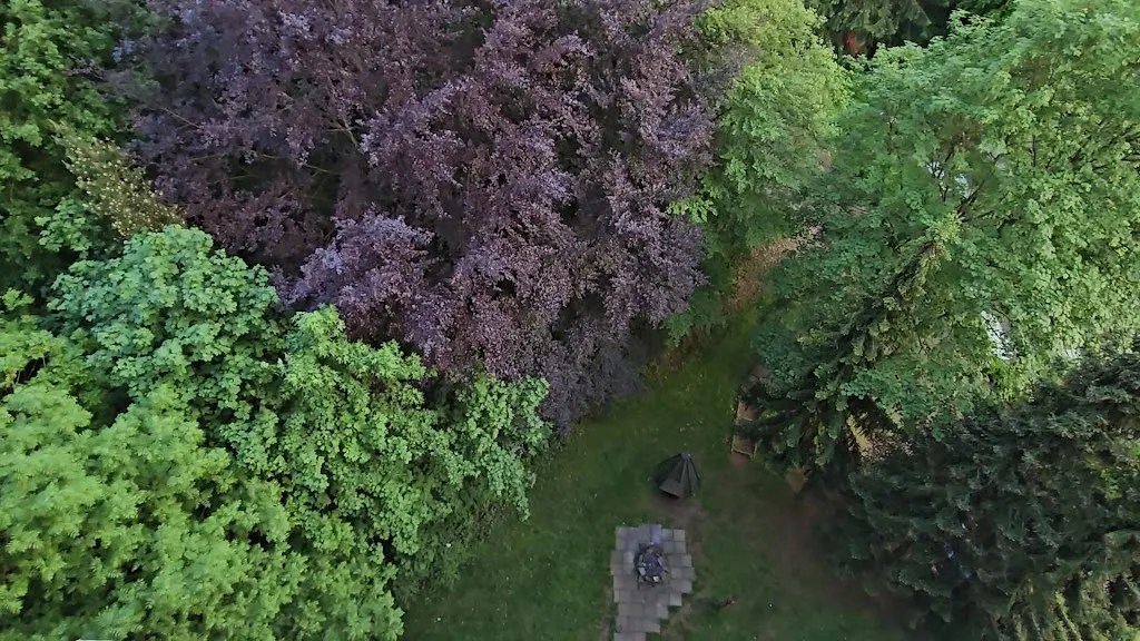 Hotel Panoramic_Harz_slider_image_2