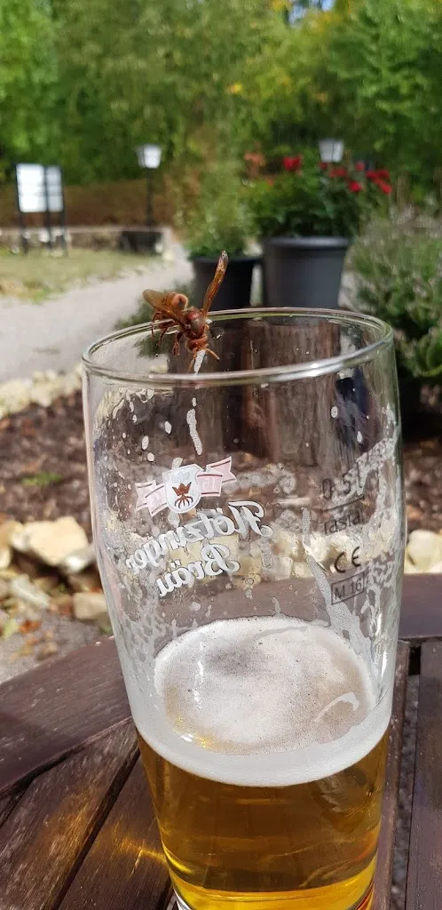 Menu_Sennhütte Bad Pyrmont_Pyrmont_immagine_8