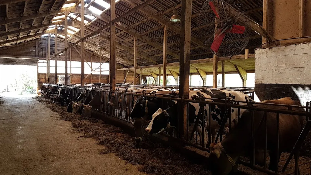 Jithofer Käserei - Jithofer Vertriebs-GbR restaurant in Bargstedt