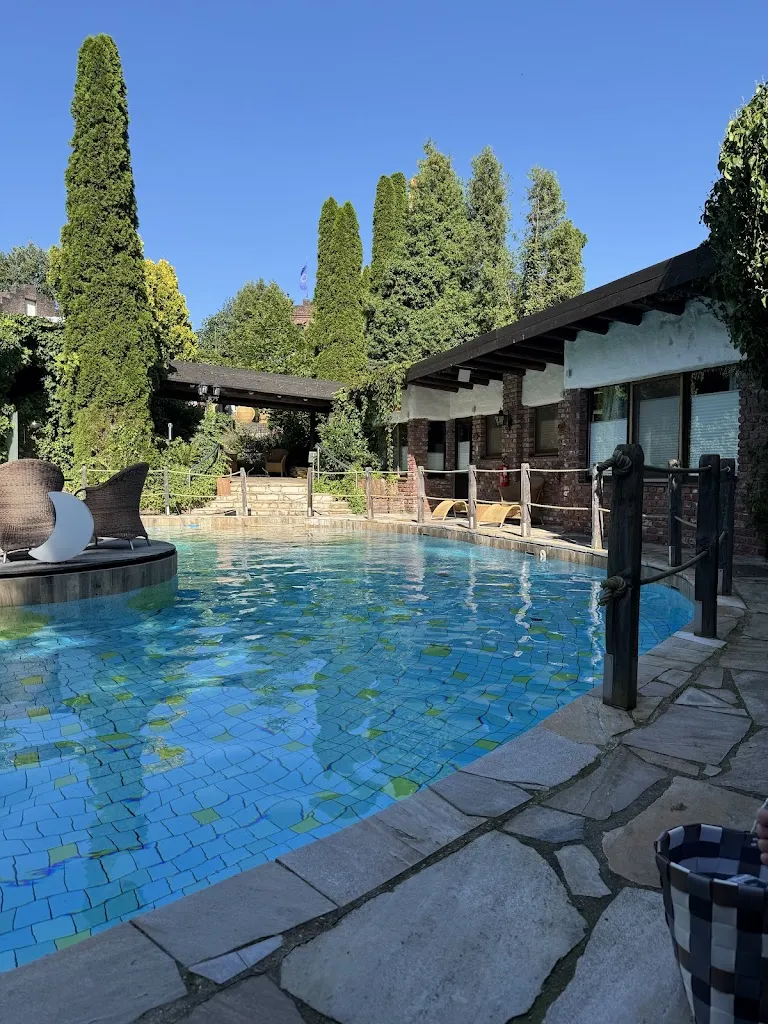 Remy_Hotel Land Gut Höhne_Mettmann_review