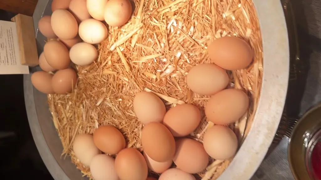 ithar saeed_Hotel Land Gut Höhne_Mettmann_review