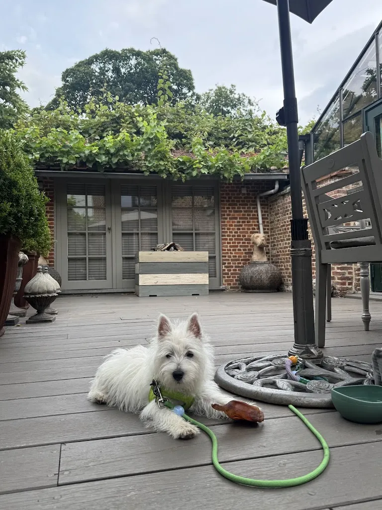 Zhang Jiachen_Hofke van Bazel_Belgium_reseña