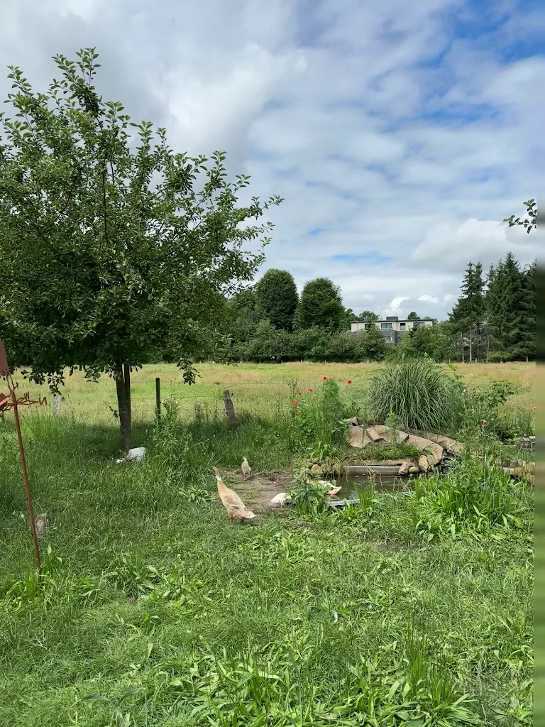 Melanie F. Müller_Landcafe Neumann_Zwischenahn_review