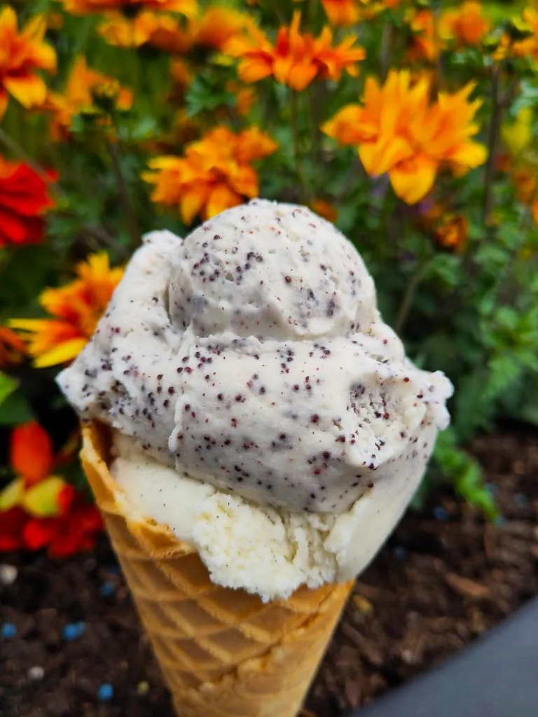 Menü_Parkgastronomie_Zwischenahn_Bild_5