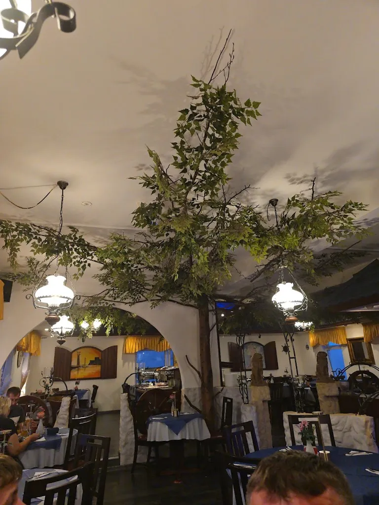 Aga Siupa_Rhodos_Bassum_review